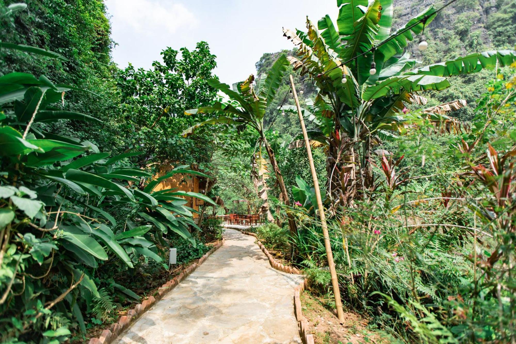 Thung Sen Tam Coc Chalets Ninh Binh Zewnętrze zdjęcie