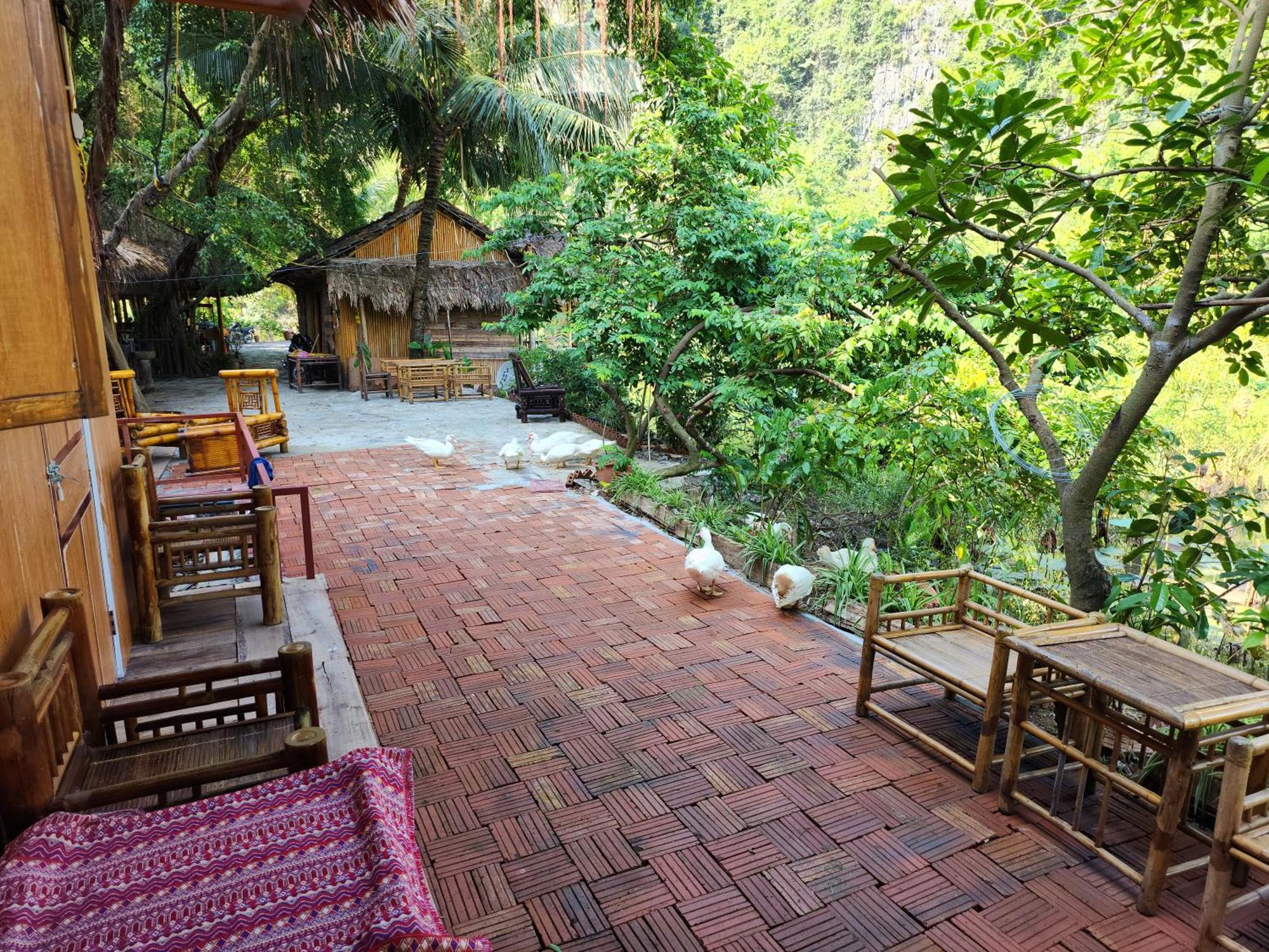 Thung Sen Tam Coc Chalets Ninh Binh Zewnętrze zdjęcie
