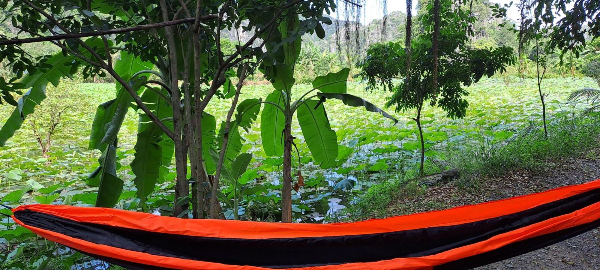 Thung Sen Tam Coc Chalets Ninh Binh Zewnętrze zdjęcie